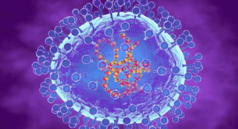 ¿Qué es el metapneumovirus humano (HMPV)?